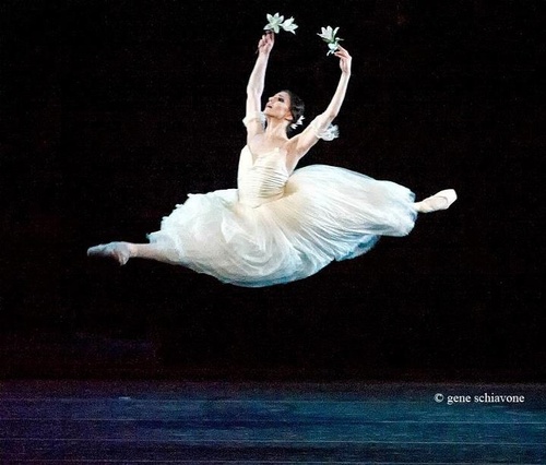 tumblr_mqa6hwNvlv1r9hos9o1_500