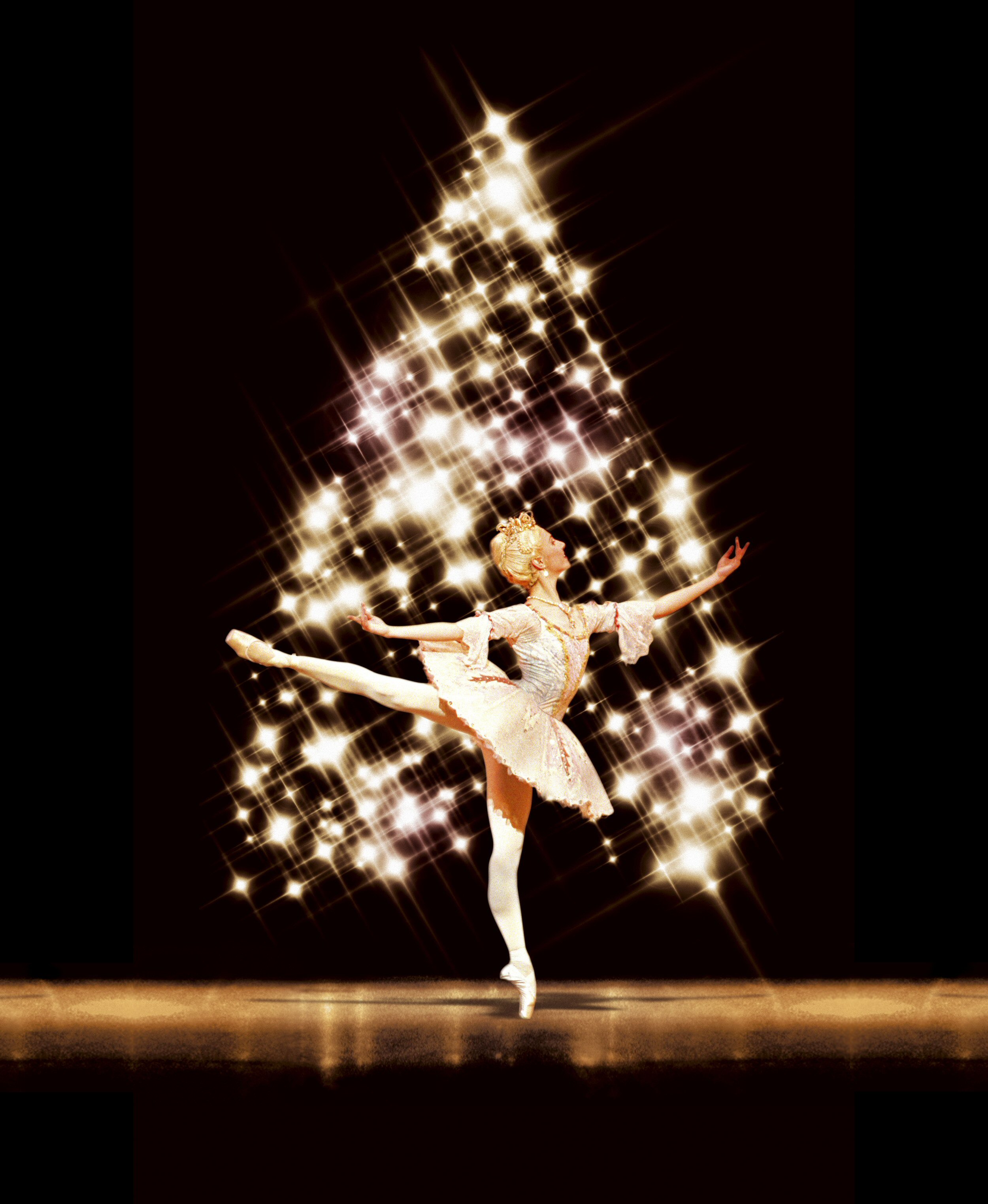 alina-cojocaru-as-the-sugar-plumfairy-photo-bill-cooper-wider-version